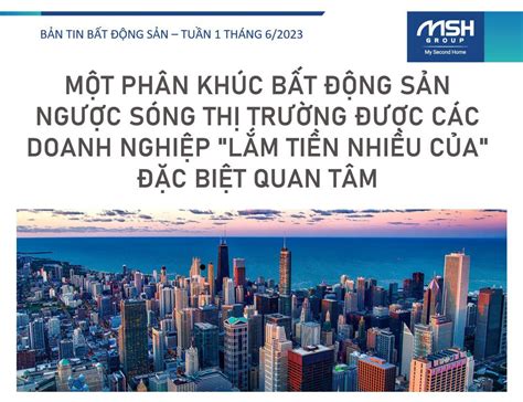  Cá HEO: Chinh Phục Những Chiều Sâu Của Biển Rộng Lớn và Múa Chảy Trong Dòng Dòng Suối Ngang