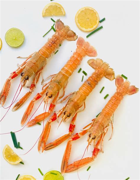  Langoustine: A Tiny Crustacean That Lives Both In Shallow Waters And In Deep-Sea Trenches!