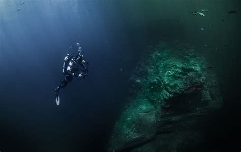  Oceanapia! Unveiling the Secrets of This Deep-Sea Dweller with Intriguing Textures